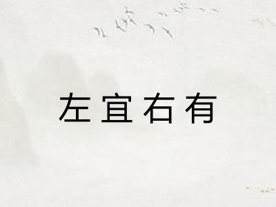 左宜右有