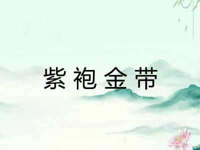 紫袍金带