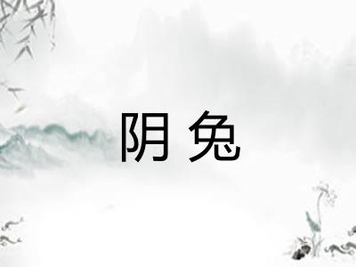 阴兔