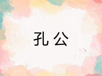 孔公