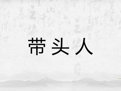 带头人
