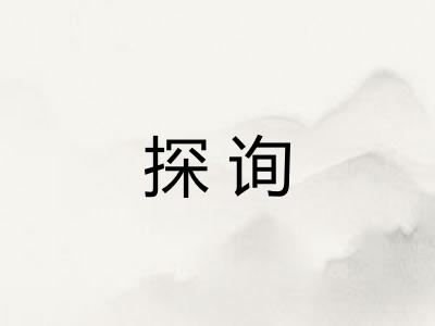 探询