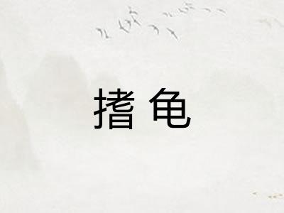 搘龟