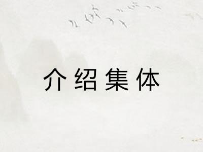 介绍集体