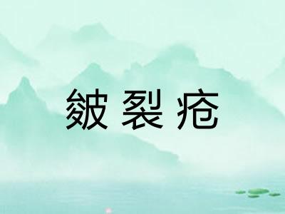皴裂疮