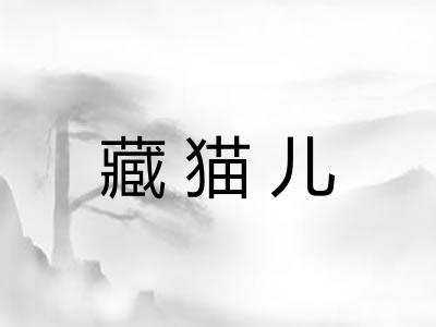 藏猫儿