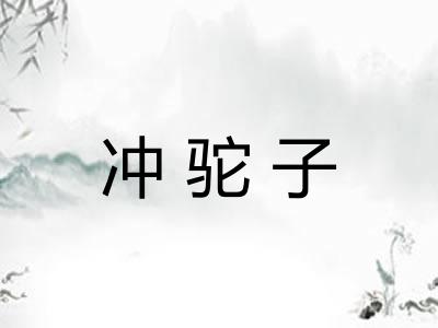 冲驼子
