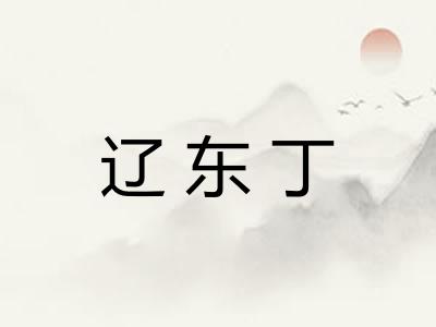 辽东丁