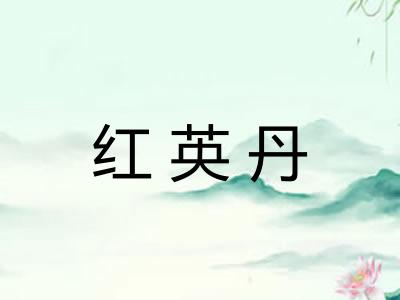 红英丹