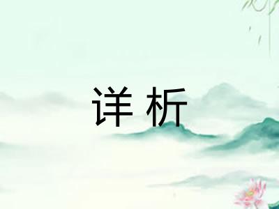 详析