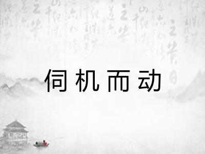 伺机而动