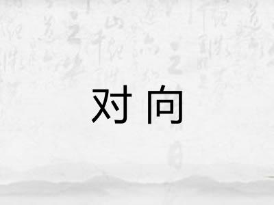对向