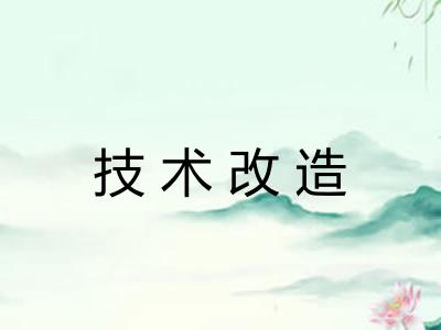 技术改造