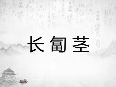 长匐茎