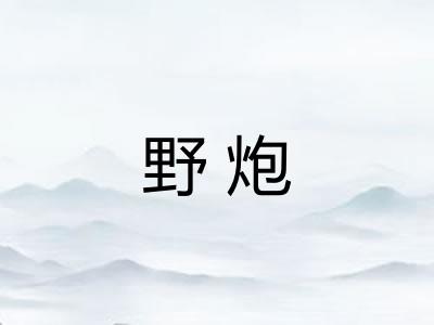 野炮