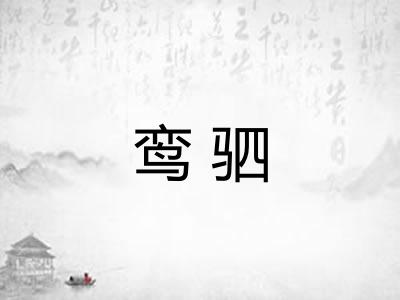 鸾驷