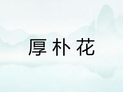 厚朴花