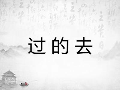 过的去