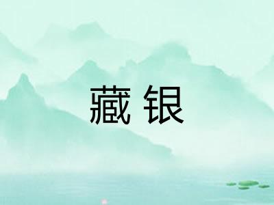 藏银