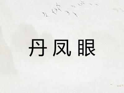 丹凤眼