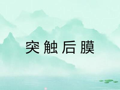 突触后膜