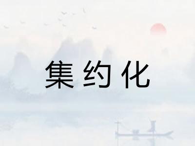集约化