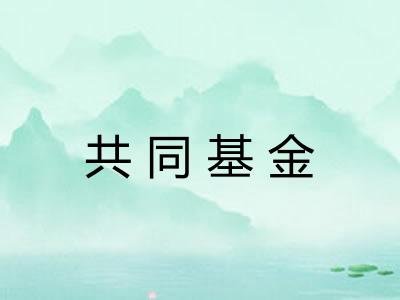 共同基金