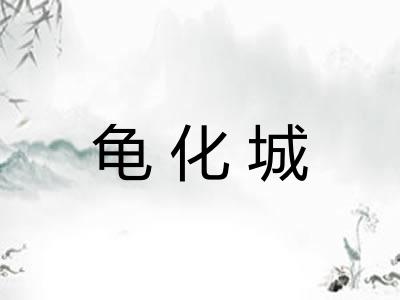 龟化城