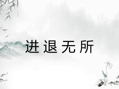 进退无所