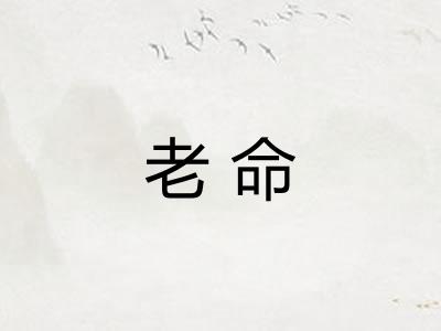老命