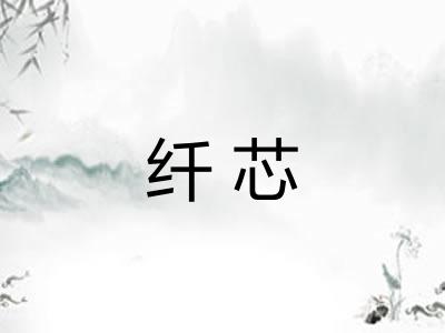 纤芯