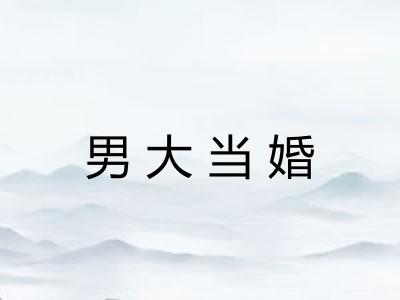 男大当婚