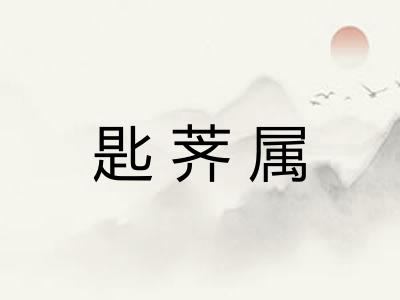 匙荠属