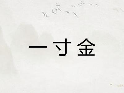 一寸金