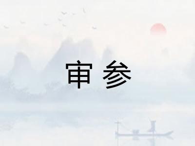 审参