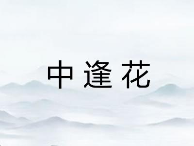 中逢花