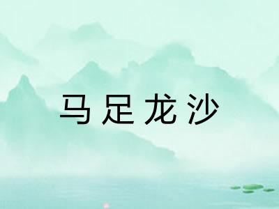 马足龙沙