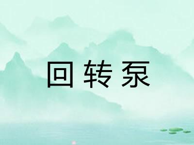 回转泵