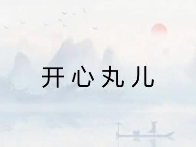 开心丸儿