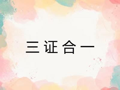 三证合一