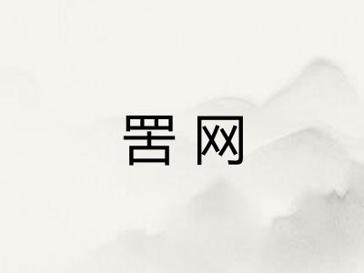 罟网