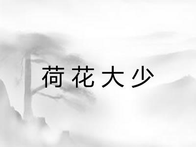 荷花大少