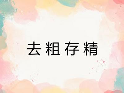 去粗存精