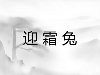 迎霜兔