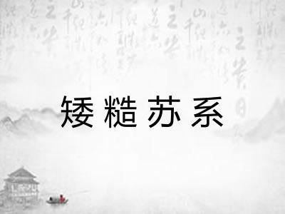 矮糙苏系