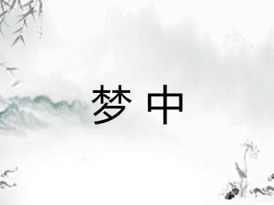 梦中