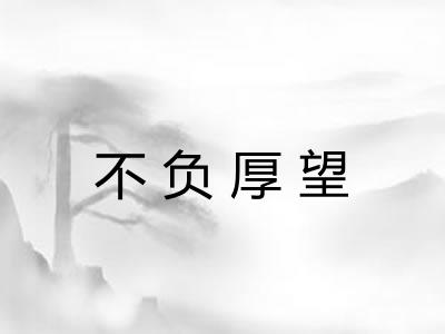 不负厚望