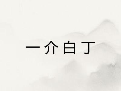 一介白丁