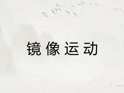 镜像运动