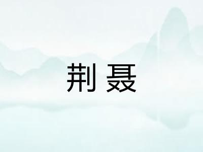 荆聂